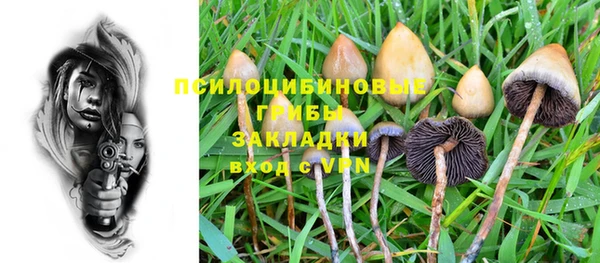 тгк Белокуриха